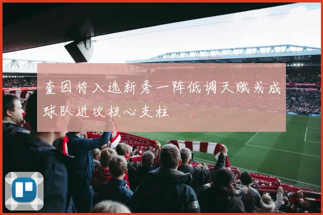 奎因将入选新秀一阵低调天赋或成球队进攻核心支柱