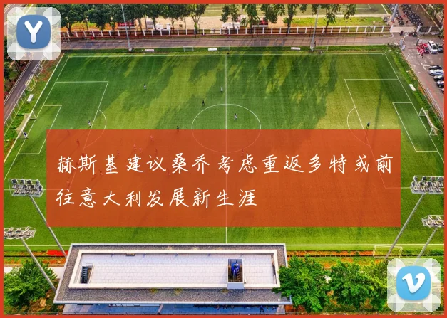 赫斯基建议桑乔考虑重返多特或前往意大利发展新生涯