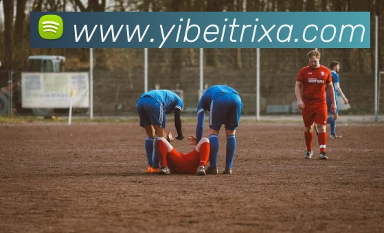 易倍体育服务体系